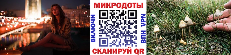 ссылка на мегу зеркало Аксай Галлюциногенные грибы прущие грибы цены